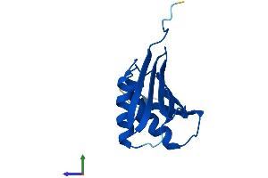 Protein Structure (PS) image for Proteasome (Prosome, Macropain) Assembly Chaperone 3 (PSMG3) (AA 1-122) protein (His tag) (ABIN7560785)