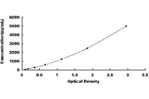 Typical standard curve (LECT2 ELISA 试剂盒)