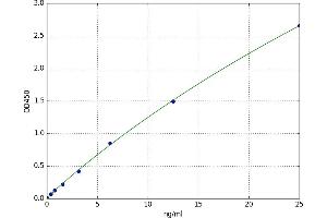 Caspase 4, Apoptosis-Related Cysteine Peptidase (CASP4) ELISA Kit