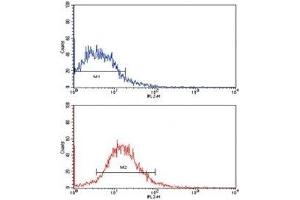 Flow cytometric analysis of HepG2 cells using EPHB2 antibody (red) compared to a negative control (blue). (EPH Receptor B2 抗体)
