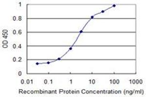 Detection limit for recombinant GST tagged FKBP10 is 0. (FKBP10 抗体  (AA 377-470))