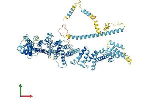 Protein Structure (PS) image for Nucleoporin 93kDa (NUP93) (AA 1-819) protein (His tag) (ABIN7558695)