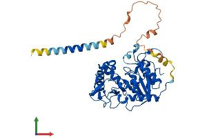 Protein Structure (PS) image for ST8 alpha-N-Acetyl-Neuraminide alpha-2,8-Sialyltransferase 3 (ST8SIA3) (AA 1-380) protein (His tag) (ABIN7555481)
