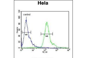 Flow cytometric analysis of Hela cells (right histogram) compared to a negative control cell (left histogram). (MMGT1 抗体  (C-Term))