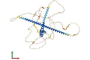 Protein Structure (PS) image for TOX High Mobility Group Box Family Member 3 (TOX3) (AA 1-575) protein (His tag) (ABIN7558374)