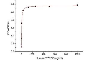 Activity Assay (AcA) image for TYRO3 Protein Tyrosine Kinase (TYRO3) (AA 41-428) (Active) protein (His-Fc tag) (ABIN7607526)
