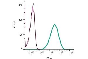 Cell surface detection of CD63 by direct flow cytometry in live intact mouse  microglia cell line: + Rabbit IgG Isotype Control-PE. (CD63 抗体  (Extracellular) (PE))