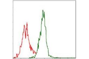 Flow cytometric analysis of Jurkat cells using ASS1 mouse mAb (green) and negative control (red). (ASS1 抗体)