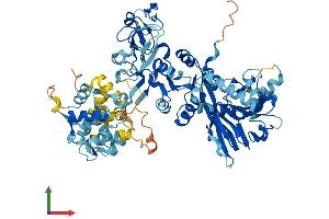 Protein Structure (PS) image for Diacylglycerol Kinase, alpha 80kDa (DGKA) (AA 1-735) protein (His tag) (ABIN7547110)