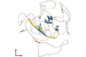 Protein Structure (PS) image for Polyhomeotic Homolog 2 (Drosophila) (PhC2) (AA 1-850) protein (His tag) (ABIN7565135)