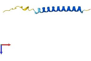 NOXA Protein (AA 1-54) (Fc Tag)