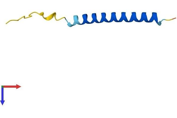 NOXA Protein (AA 1-54) (Fc Tag)