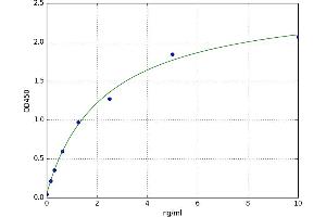 Sialophorin (SPN) ELISA Kit