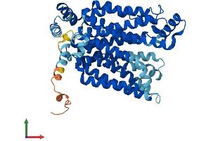 Protein Structure (PS) image for Solute Carrier Family 2 (Facilitated Glucose Transporter), Member 1 (SLC2A1) (AA 1-492) protein (His tag) (ABIN7562920)