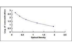 ELISA image for Endothelin 1 (EDN1) ELISA Kit (ABIN416632)