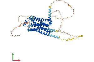 AlphaFold protein structure predicition of Human Recombinant ADRB1 Protein, UniprotID P08588