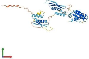 AlphaFold protein structure predicition of Mouse Recombinant Prkra Protein, UniprotID Q9WTX2