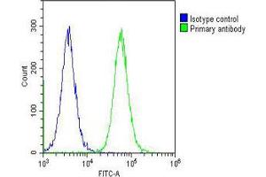 Overlay histogram showing Hela cells stained with Antibody (green line). (CAD 抗体  (AA 780-809))