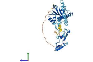 Protein Structure (PS) image for Ribosomal Protein, Large, P0 (RPLP0) (AA 1-317) protein (His tag) (ABIN7551439)