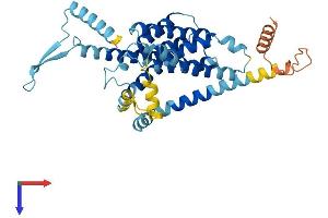AlphaFold protein structure predicition of Human Recombinant DPY19L2P2 Protein, UniprotID Q6ZN68 (DPY19L2P2 Protein (AA 1-376) (His tag))