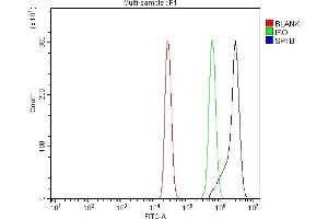 Flow Cytometry analysis of U937 cells using anti-beta 1 Spectrin/SPTB antibody (ABIN7602356).