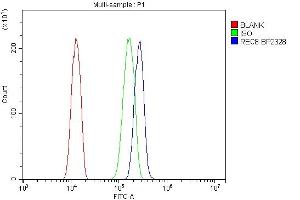 Flow Cytometry analysis of HeLa cells using anti-REC8 antibody (ABIN7599473).