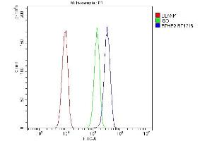 Flow Cytometry analysis of A549 cells using anti-EPHB2 antibody (ABIN7601057).
