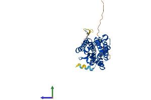 Protein Structure (PS) image for Six Transmembrane Epithelial Antigen of The Prostate 1 (STEAP1) (AA 1-339) protein (His tag) (ABIN7546451)