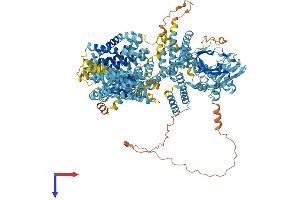 Solute Carrier Family 9, Subfamily C (Na+-Transporting Carboxylic Acid Decarboxylase), Member 1 (SLC9C1) (AA 1-1177) protein (His tag)