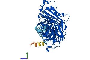 Protein Structure (PS) image for GDP Dissociation Inhibitor 2 (GDI2) (AA 1-445) protein (His tag) (ABIN7547919)