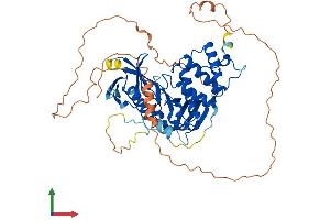 AlphaFold protein structure predicition of Mouse Recombinant Epb41l4b Protein, UniprotID Q9JMC8