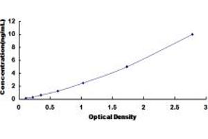Image no. 1 for Succinate Dehydrogenase Complex, Subunit C, Integral Membrane Protein, 15kDa (SDHC) ELISA Kit (ABIN1874402)