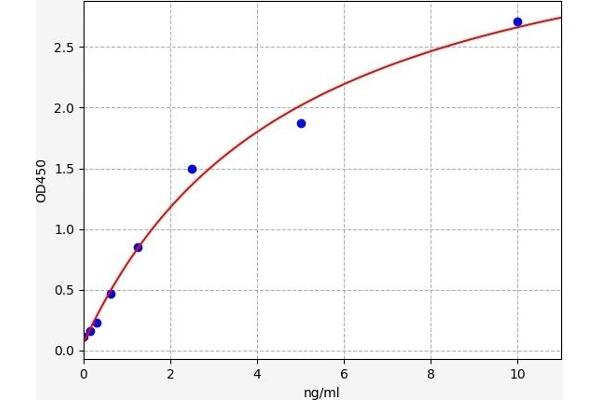 CDCA8 ELISA 试剂盒