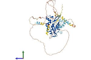 AlphaFold protein structure predicition of Human Recombinant SOCS5 Protein, UniprotID O75159