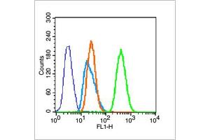 HeLa cells probed with Actin Polyclonal Antibody, unconjugated  at 1:100 dilution for 30 minutes compared to control cells (blue) and isotype control (orange) (Actin 抗体  (AA 165-260))
