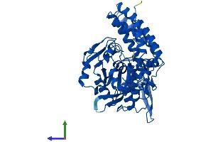 AlphaFold protein structure predicition of Mouse Recombinant Blmh Protein, UniprotID Q8R016