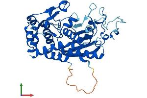 Protein Structure (PS) image for Archaelysin Family Metallopeptidase 2 (AMZ2) (AA 1-360) protein (His tag) (ABIN7552024)