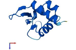 ABRACL/C6orf115 Protein (AA 1-81) (Fc Tag)