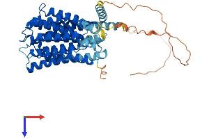 SLC19A3 Protein (AA 1-496) (His tag)