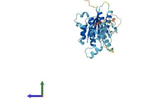 Protein Structure (PS) image for General Transcription Factor IIH, Polypeptide 3, 34kD (GTF2H3) (AA 1-309) protein (His tag) (ABIN7559851)