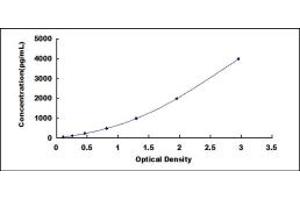Typical standard curve (SOD2 ELISA 试剂盒)