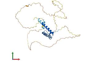 AlphaFold protein structure predicition of Mouse Recombinant Hoxa11 Protein, UniprotID P31311
