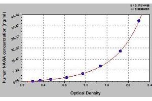 Typical standard curve (NAGA ELISA 试剂盒)