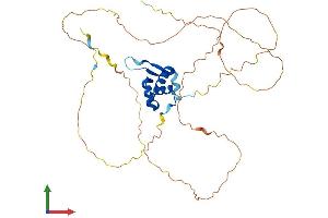 AlphaFold protein structure predicition of Mouse Recombinant Foxf1 Protein, UniprotID Q61080