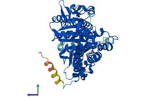 Protein Structure (PS) image for Tubulin, beta 3 (TUBB3) (AA 1-450) protein (His tag) (ABIN7544266)