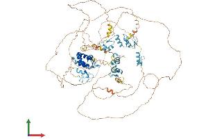 Protein Structure (PS) image for Basonuclin 1 (BNC1) (AA 1-994) protein (His tag) (ABIN7552703)