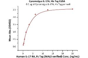 Measured by its binding ability in a functional ELISA.