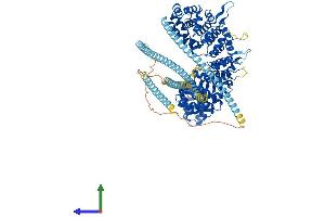 Protein Structure (PS) image for USO1 Homolog, Vesicle Docking Protein (USO1) (AA 1-962) protein (His tag) (ABIN7555944)