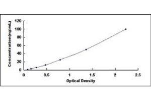 Typical standard curve (PRKX ELISA 试剂盒)