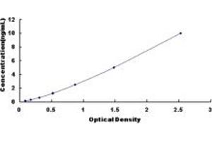 Typical standard curve (SRSF2 ELISA 试剂盒)